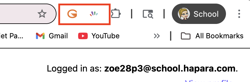 Gaggle 2.png